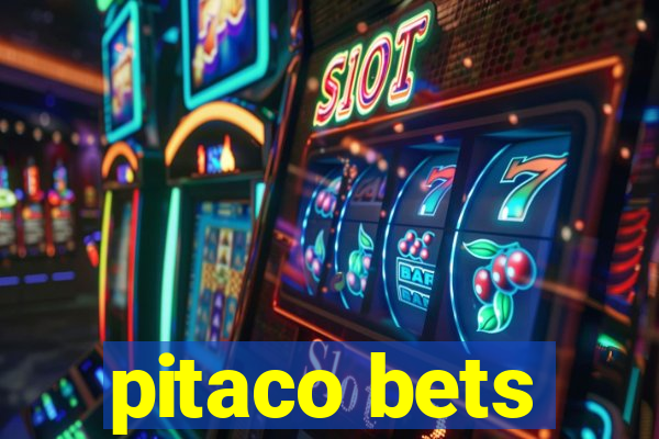 pitaco bets